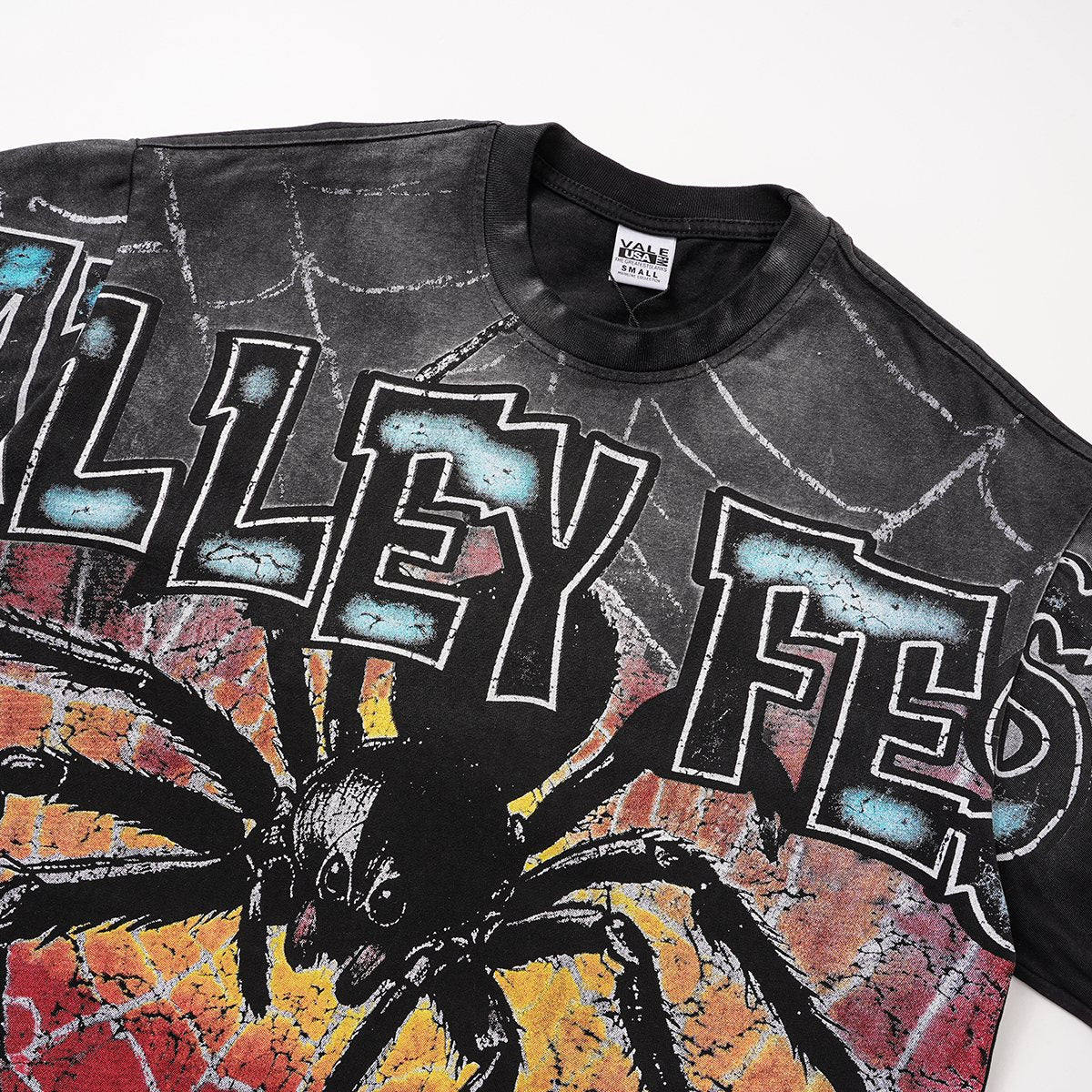 VALLEY Fest Spider Web Graphic T-Shirt — detail